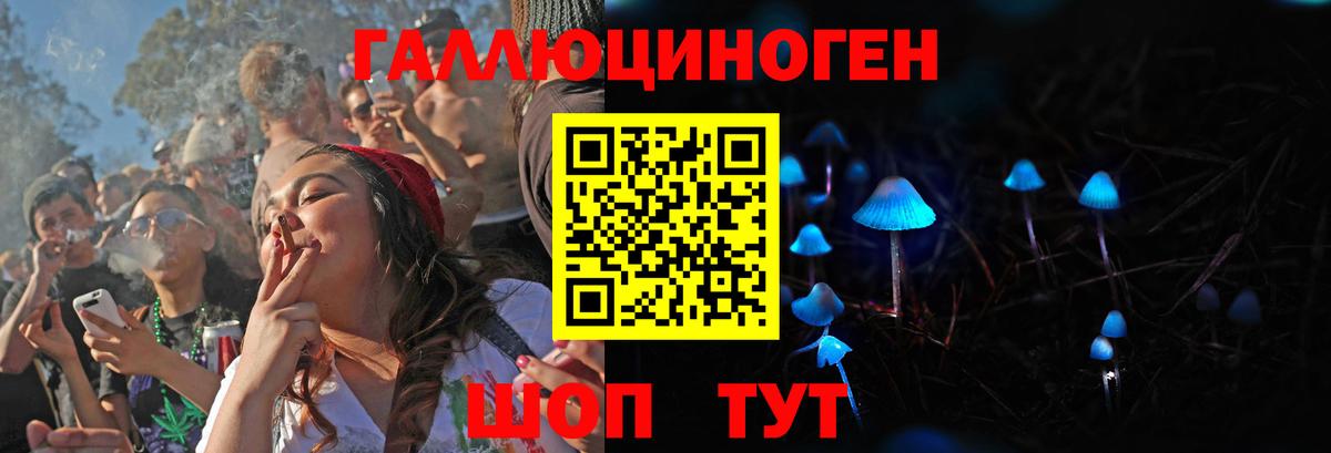 Псилоцибиновые грибы MAGIC MUSHROOMS  купить наркотики цена  Вход с VPN  Ачхой-Мартан  Псилоцибиновые грибы MAGIC MUSHROOMS 